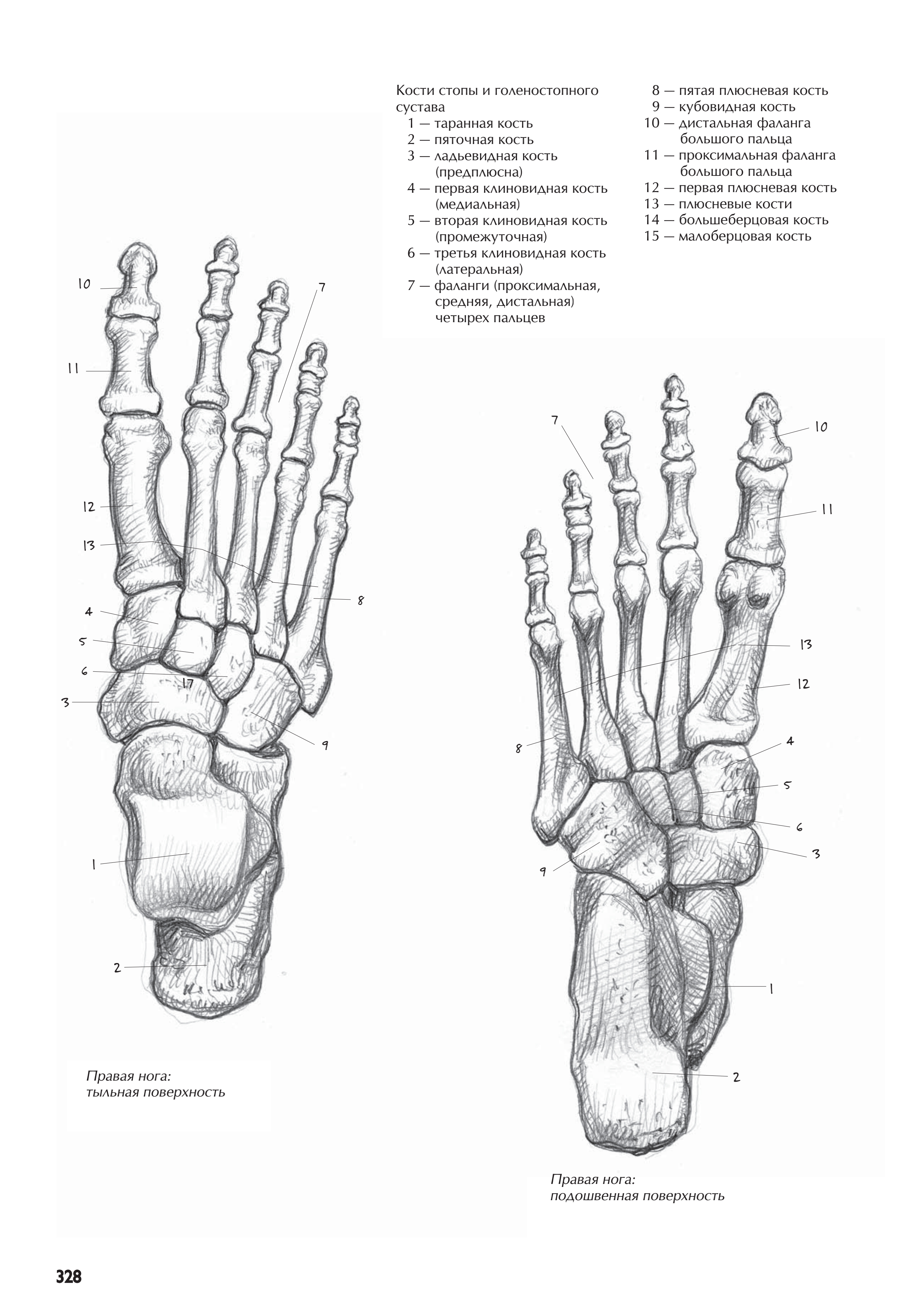 آموزش نقاشی طراحی سیاه قلم شهرری